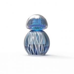 Perfume Bottle-10122 30ml