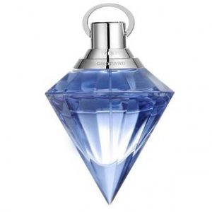 Perfume Bottle-10161 50ml/100ml