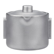 Titanium Teapot-Ta9099F/SS