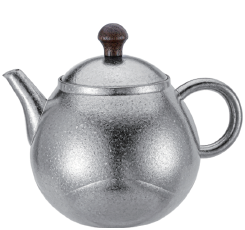 Titanium Teapot-Ta9066SS